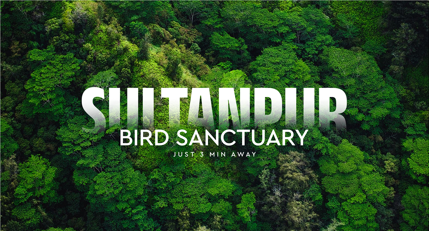 SULTANPUR BIRD SANCTUARY